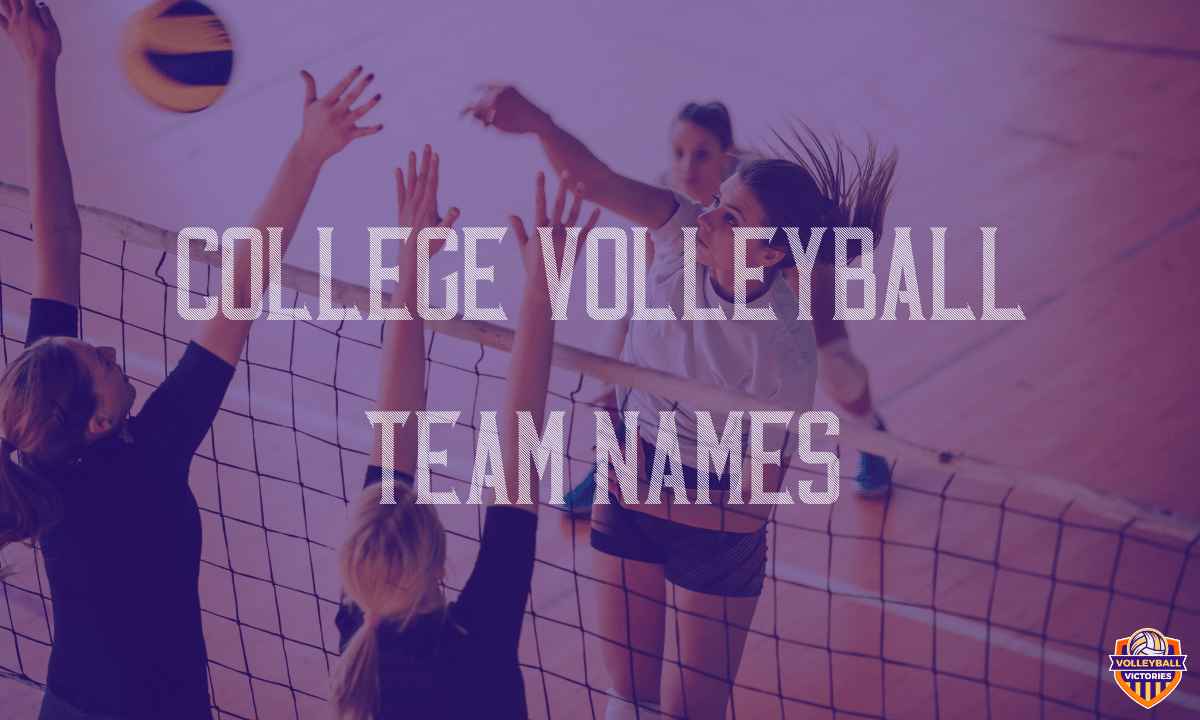 College Volleyball Team Names