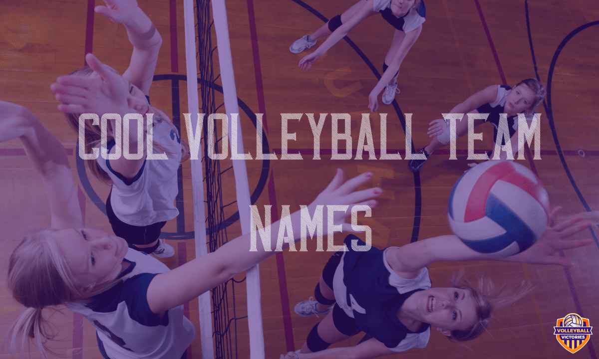 Cool Volleyball Team Names