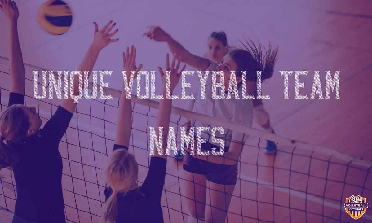 Unique Volleyball Team Names