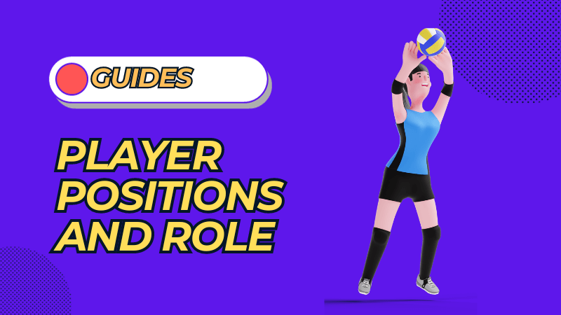 Volleyball Positions Guide to Player Positions and Role