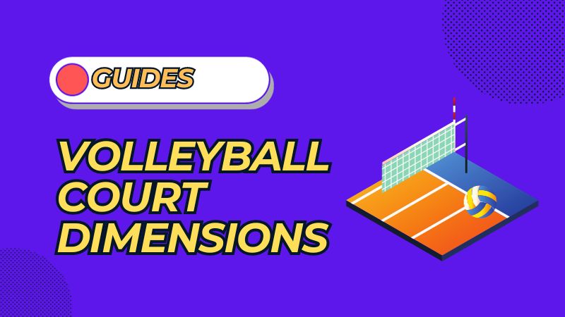 dimensions of a volleyball court